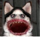 3Dx