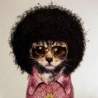 AlberT.z.Radical