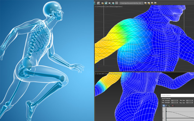 3dmax Bones proƤˢ(qun)ĝh2010~2020