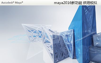 maya2016?1??? ???????