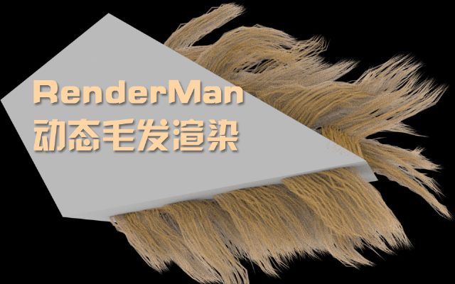 RenderMan?????????