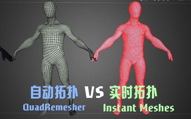 3dcoat r?f)? Ԅ?f)?InstantMeshes vs QuadRemesher