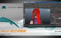 maya???????????????