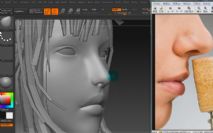 zbrush??????????