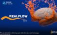 realflow(chung)w