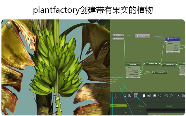 plantfactory???????й???????